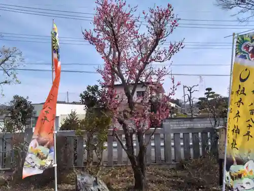 祖母井神社(栃木県)