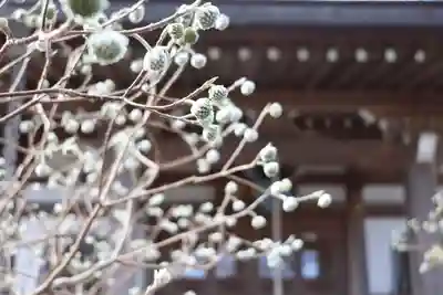 妙楽寺(神奈川県)