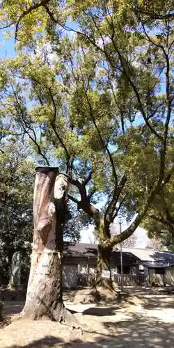 長島住吉神社(大阪府)