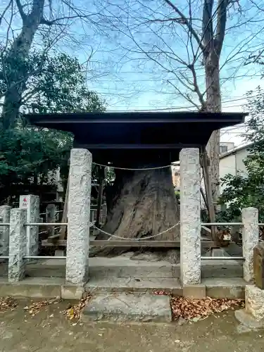 丸子山王日枝神社の{uncategorized: "未分類", other: "その他", undefined: "問題あり", building: "その他建物", grave: "お墓", sacred_gate: "鳥居", guardian: "狛犬", statue: "像", buddha: "仏像", history: "歴史", nature: "自然", garden: "庭園", animal: "動物", pagoda: "塔", temizu: "手水舎", mountain_gate: "山門・神門", sanctuary: "本殿・本堂", subordinate: "末社・摂社", art: "芸術", scenery: "景色", jizo: "地蔵", ema: "絵馬", goshuin: "御朱印", omikuji: "おみくじ", items: "授与品その他", amulet: "お守り", goshuincho: "御朱印帳", eats: "食事", festival: "お祭り", votive_dance: "神楽", shichigosan: "七五三参", wedding: "結婚式", experience: "体験その他", initially: "初詣", around: "周辺", anti_infection: "感染症対策"}