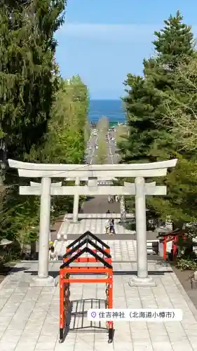 住吉神社の{uncategorized: "未分類", other: "その他", undefined: "問題あり", building: "その他建物", grave: "お墓", sacred_gate: "鳥居", guardian: "狛犬", statue: "像", buddha: "仏像", history: "歴史", nature: "自然", garden: "庭園", animal: "動物", pagoda: "塔", temizu: "手水舎", mountain_gate: "山門・神門", sanctuary: "本殿・本堂", subordinate: "末社・摂社", art: "芸術", scenery: "景色", jizo: "地蔵", ema: "絵馬", goshuin: "御朱印", omikuji: "おみくじ", items: "授与品その他", amulet: "お守り", goshuincho: "御朱印帳", eats: "食事", festival: "お祭り", votive_dance: "神楽", shichigosan: "七五三参", wedding: "結婚式", experience: "体験その他", initially: "初詣", around: "周辺", anti_infection: "感染症対策"}