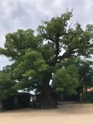 糸碕神社(広島県)