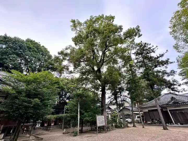 櫛玉比女命神社(奈良県)