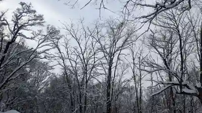 旭山稲荷金刀比羅神社の景色