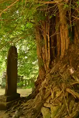 正法寺(埼玉県)
