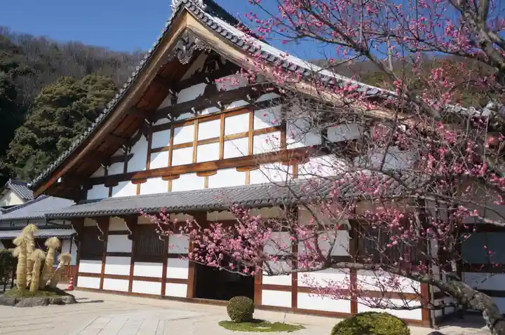 金寶山 瑞龍寺(岐阜県)