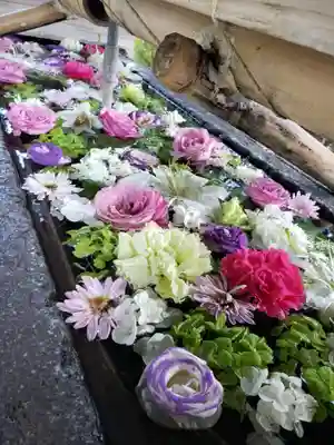 鳩森八幡神社の手水舎