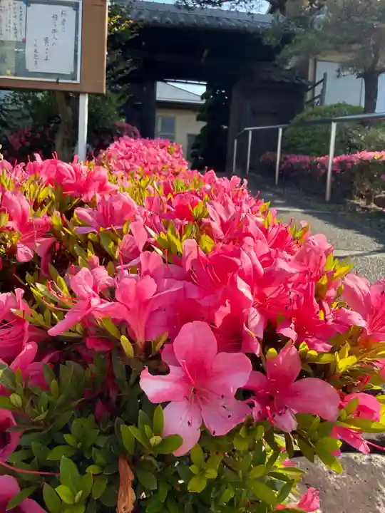西方山極楽寺(岐阜県)