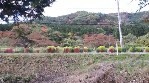 高司神社〜むすびの神の鎮まる社〜の景色