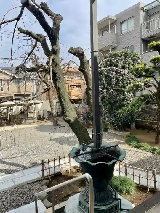 西應寺の{uncategorized: "未分類", other: "その他", undefined: "問題あり", building: "その他建物", grave: "お墓", sacred_gate: "鳥居", guardian: "狛犬", statue: "像", buddha: "仏像", history: "歴史", nature: "自然", garden: "庭園", animal: "動物", pagoda: "塔", temizu: "手水舎", mountain_gate: "山門・神門", sanctuary: "本殿・本堂", subordinate: "末社・摂社", art: "芸術", scenery: "景色", jizo: "地蔵", ema: "絵馬", goshuin: "御朱印", omikuji: "おみくじ", items: "授与品その他", amulet: "お守り", goshuincho: "御朱印帳", eats: "食事", festival: "お祭り", votive_dance: "神楽", shichigosan: "七五三参", wedding: "結婚式", experience: "体験その他", initially: "初詣", around: "周辺", anti_infection: "感染症対策"}