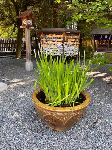 阿佐ヶ谷神明宮(東京都)