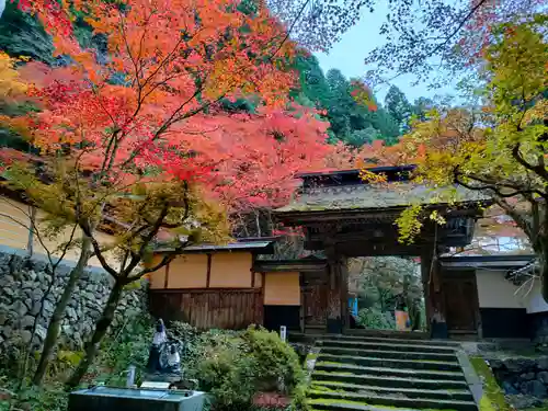 横蔵寺の山門