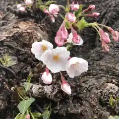 楽水亭　大龍寺(秋田県)