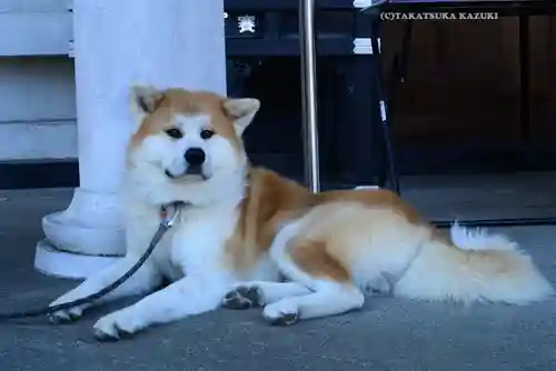 願成就院(静岡県)