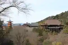 清水寺の景色