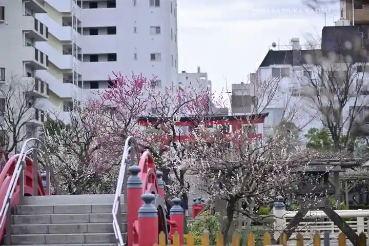 亀戸天神社(東京都)