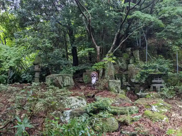 阿弥陀寺(福井県)