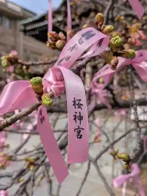 桜神宮(東京都)