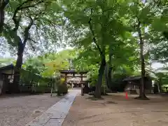 本太氷川神社の鳥居