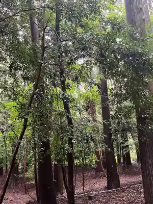霧島神宮(鹿児島県)