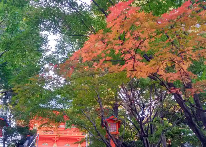 穴八幡宮(東京都)