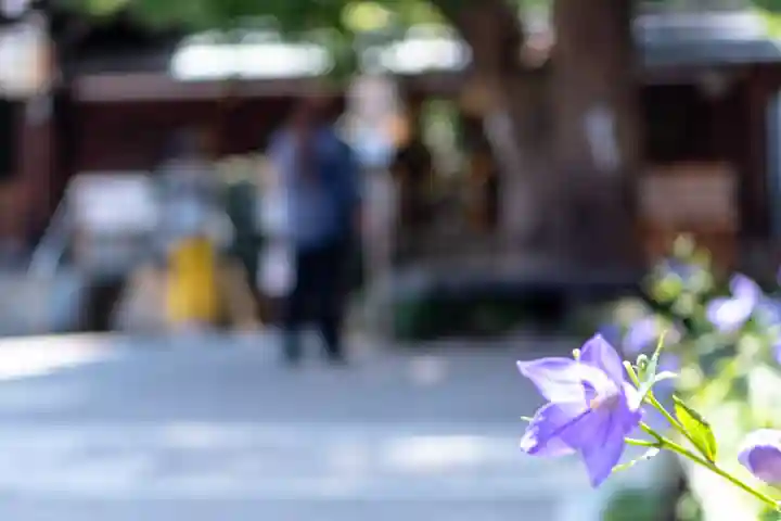 晴明神社(京都府)