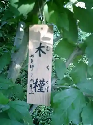 長谷寺のその他建物