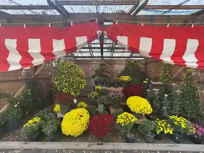 一言主神社(茨城県)