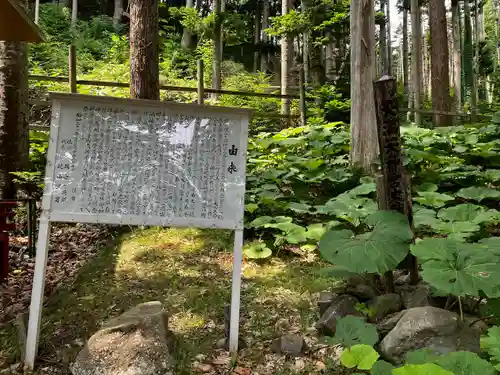 神社（洞爺湖中の島）の歴史