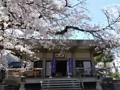 妙経寺(福井県)