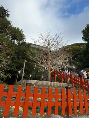 鶴岡八幡宮の{uncategorized: "未分類", other: "その他", undefined: "問題あり", building: "その他建物", grave: "お墓", sacred_gate: "鳥居", guardian: "狛犬", statue: "像", buddha: "仏像", history: "歴史", nature: "自然", garden: "庭園", animal: "動物", pagoda: "塔", temizu: "手水舎", mountain_gate: "山門・神門", sanctuary: "本殿・本堂", subordinate: "末社・摂社", art: "芸術", scenery: "景色", jizo: "地蔵", ema: "絵馬", goshuin: "御朱印", omikuji: "おみくじ", items: "授与品その他", amulet: "お守り", goshuincho: "御朱印帳", eats: "食事", festival: "お祭り", votive_dance: "神楽", shichigosan: "七五三参", wedding: "結婚式", experience: "体験その他", initially: "初詣", around: "周辺", anti_infection: "感染症対策"}