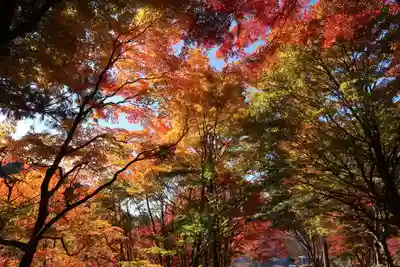 竜神神社(岐阜県)