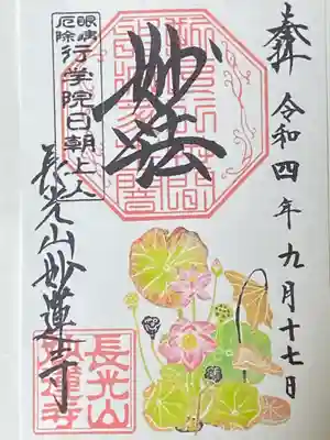 蓮　紅君子蓮