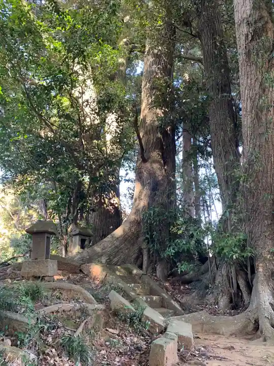 七社神社(千葉県)