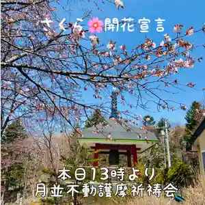 成田山瀧泉寺(北海道)(2022年04月28日(木) 10時17分00秒投稿)