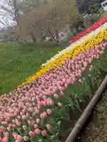 泉蔵寺(神奈川県)