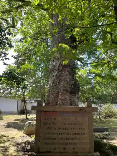 多田神社(兵庫県)