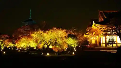 東寺（教王護国寺）の自然