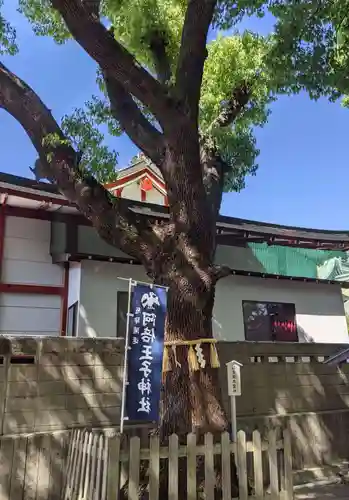 阿倍王子神社の自然