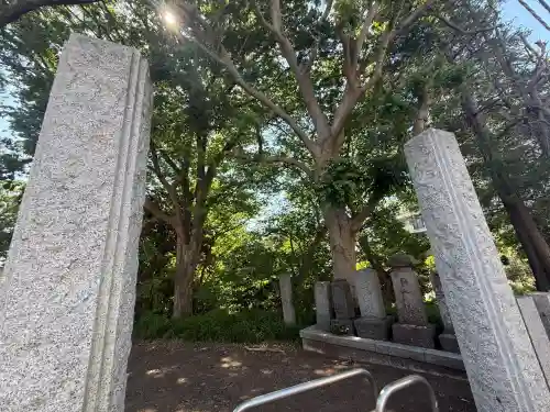 倶利伽羅不動尊の{uncategorized: "未分類", other: "その他", undefined: "問題あり", building: "その他建物", grave: "お墓", sacred_gate: "鳥居", guardian: "狛犬", statue: "像", buddha: "仏像", history: "歴史", nature: "自然", garden: "庭園", animal: "動物", pagoda: "塔", temizu: "手水舎", mountain_gate: "山門・神門", sanctuary: "本殿・本堂", subordinate: "末社・摂社", art: "芸術", scenery: "景色", jizo: "地蔵", ema: "絵馬", goshuin: "御朱印", omikuji: "おみくじ", items: "授与品その他", amulet: "お守り", goshuincho: "御朱印帳", eats: "食事", festival: "お祭り", votive_dance: "神楽", shichigosan: "七五三参", wedding: "結婚式", experience: "体験その他", initially: "初詣", around: "周辺", anti_infection: "感染症対策"}