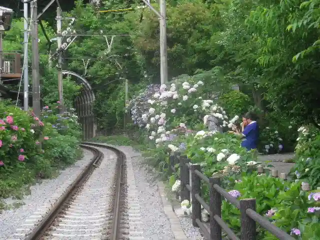 御霊神社の周辺