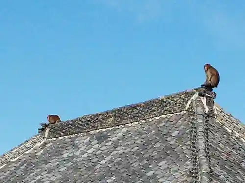 高龍寺のその他建物