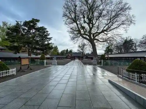 北海道護國神社の景色