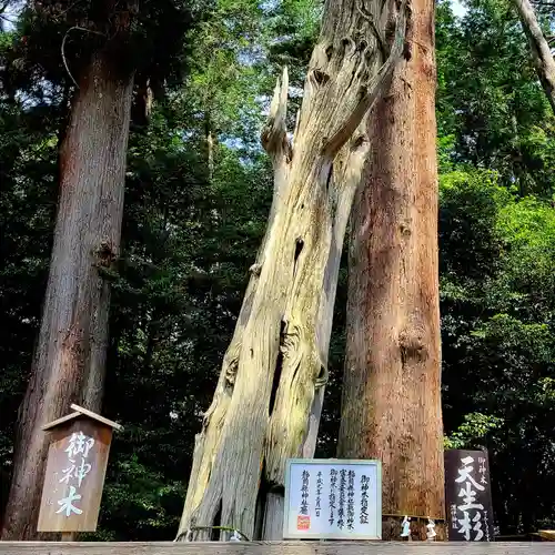 渭伊神社(静岡県)