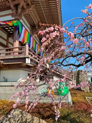 西新井大師総持寺の自然