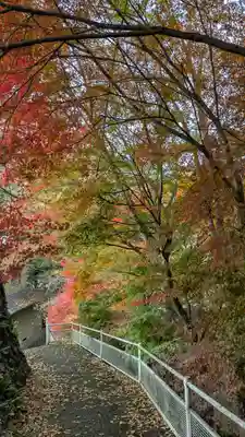 梅之宮神社(江文神社境外摂社・御旅所)(京都府)