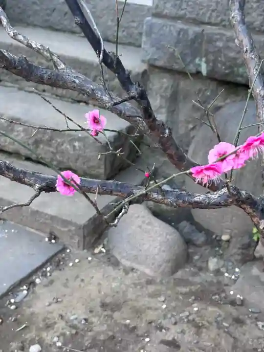 小野照崎神社の{uncategorized: "未分類", other: "その他", undefined: "問題あり", building: "その他建物", grave: "お墓", sacred_gate: "鳥居", guardian: "狛犬", statue: "像", buddha: "仏像", history: "歴史", nature: "自然", garden: "庭園", animal: "動物", pagoda: "塔", temizu: "手水舎", mountain_gate: "山門・神門", sanctuary: "本殿・本堂", subordinate: "末社・摂社", art: "芸術", scenery: "景色", jizo: "地蔵", ema: "絵馬", goshuin: "御朱印", omikuji: "おみくじ", items: "授与品その他", amulet: "お守り", goshuincho: "御朱印帳", eats: "食事", festival: "お祭り", votive_dance: "神楽", shichigosan: "七五三参", wedding: "結婚式", experience: "体験その他", initially: "初詣", around: "周辺", anti_infection: "感染症対策"}