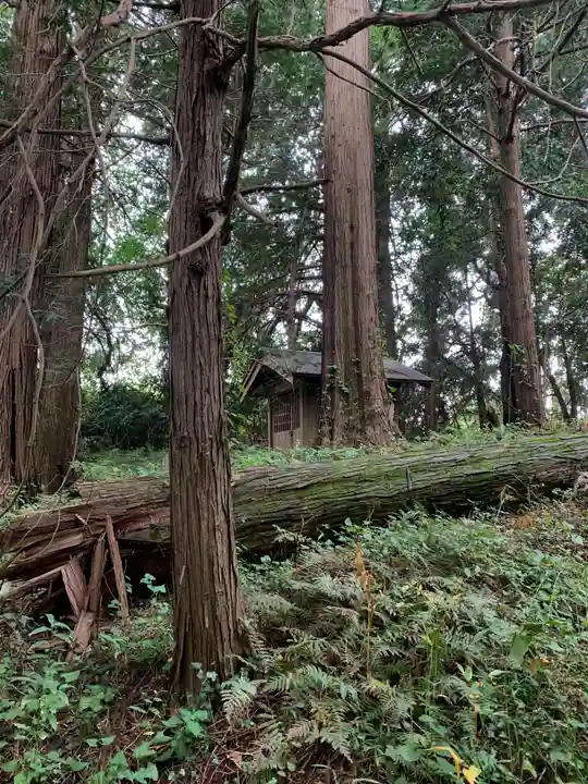 神社(名称不明)(千葉県)