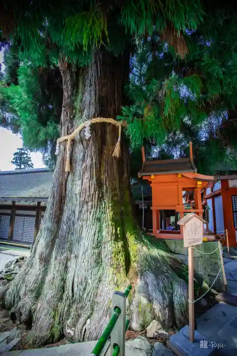 春日大社(奈良県)