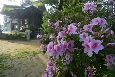 八幡橋八幡神社(神奈川県)